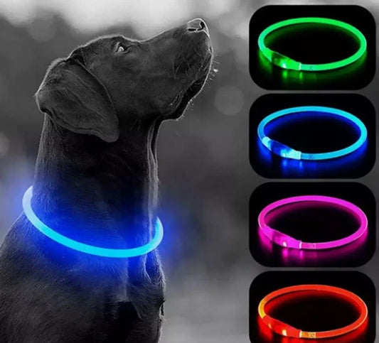 Світлодіодний LED нашийник для собак з USB зарядкою | Нашийник що світиться для безпечних прогулянок вночі | Розміри S, M, L - Nekasell
