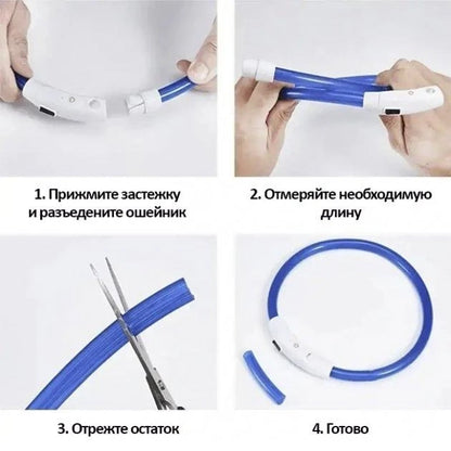 Світлодіодний LED нашийник для собак з USB зарядкою | Нашийник що світиться для безпечних прогулянок вночі | Розміри S, M, L - Nekasell